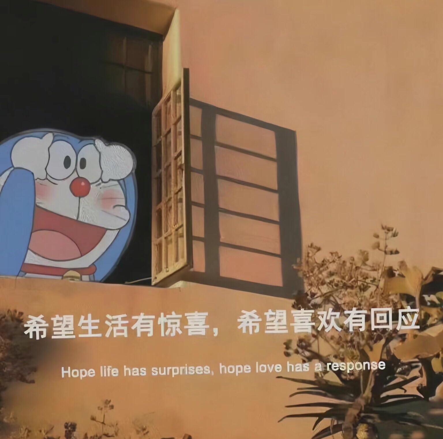 苦尽甘来那一天，山河星月做贺礼